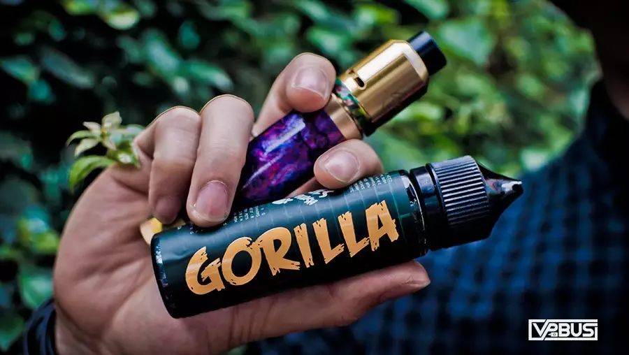 大猩猩的水果世界 GORILLA烟油系列体验