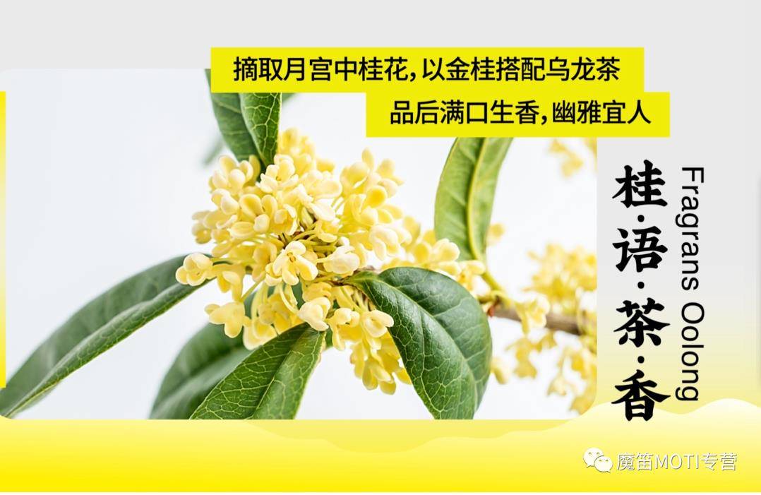 茶控注意啦！魔笛MOTI新口味来袭。秋季品茶的季节-电子烟油|悦刻RELX|柚子yooz|般若nano|魔笛MOTI|Boulder铂德|vtv|绿萝|伏桃|小野|非我JVE|max迷雾|