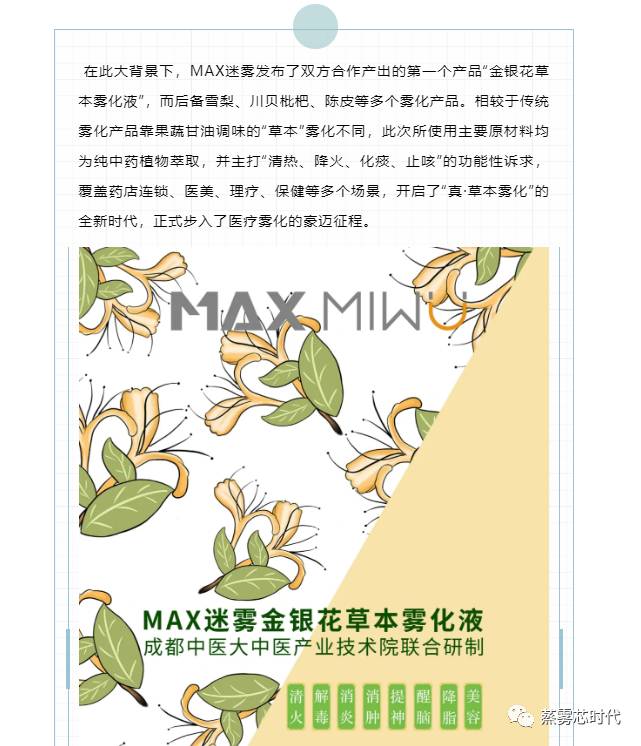 监管过渡期：电子烟转型医疗雾化，但MAX迷雾路子有点野